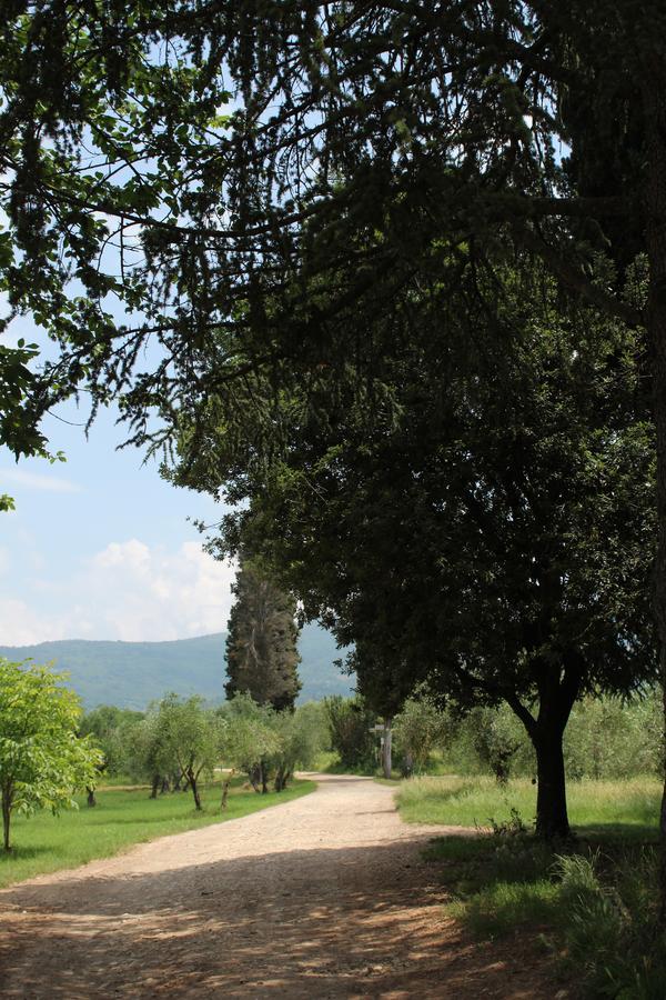 La Cascianella Villa Florence Ngoại thất bức ảnh